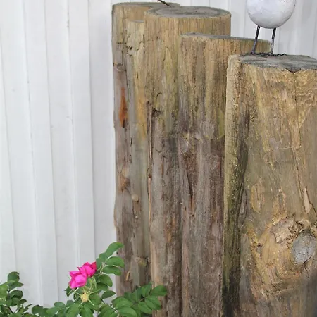 Rosenberg 24 Haus Deichrose *