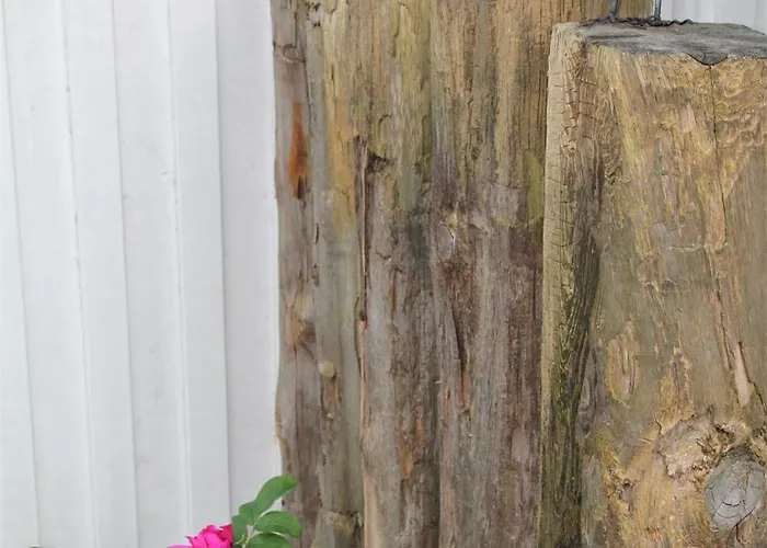 Rosenberg 24 Haus Deichrose *